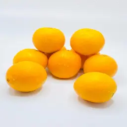 Navel Orange